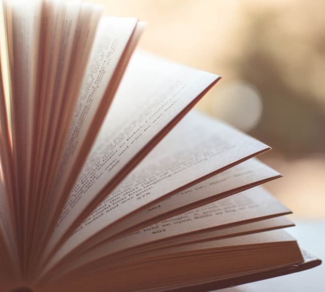 Software Architecture Learning and Development